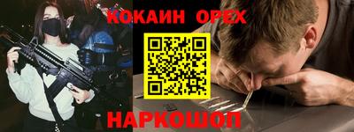шишки Дубна