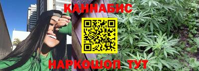 стафф Донецк