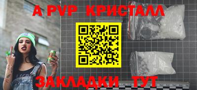 шишки Дубна