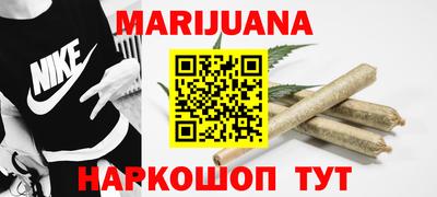 шишки Дубна