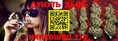шишки Дубна