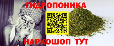 шишки Дубна